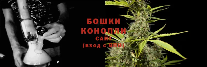 Марихуана Ganja  где продают наркотики  Шатура 